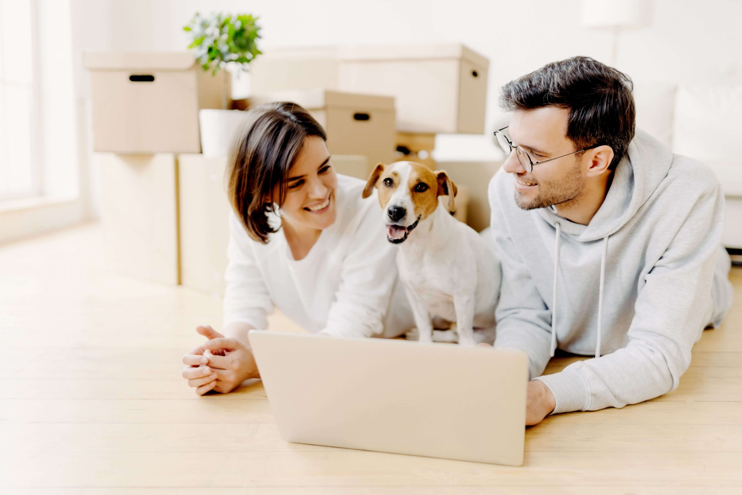 familia con perro en plena mudanza delante de un ordenador mirando como afecta la subida del precio de la luz aunque tenga una tarifa plana
